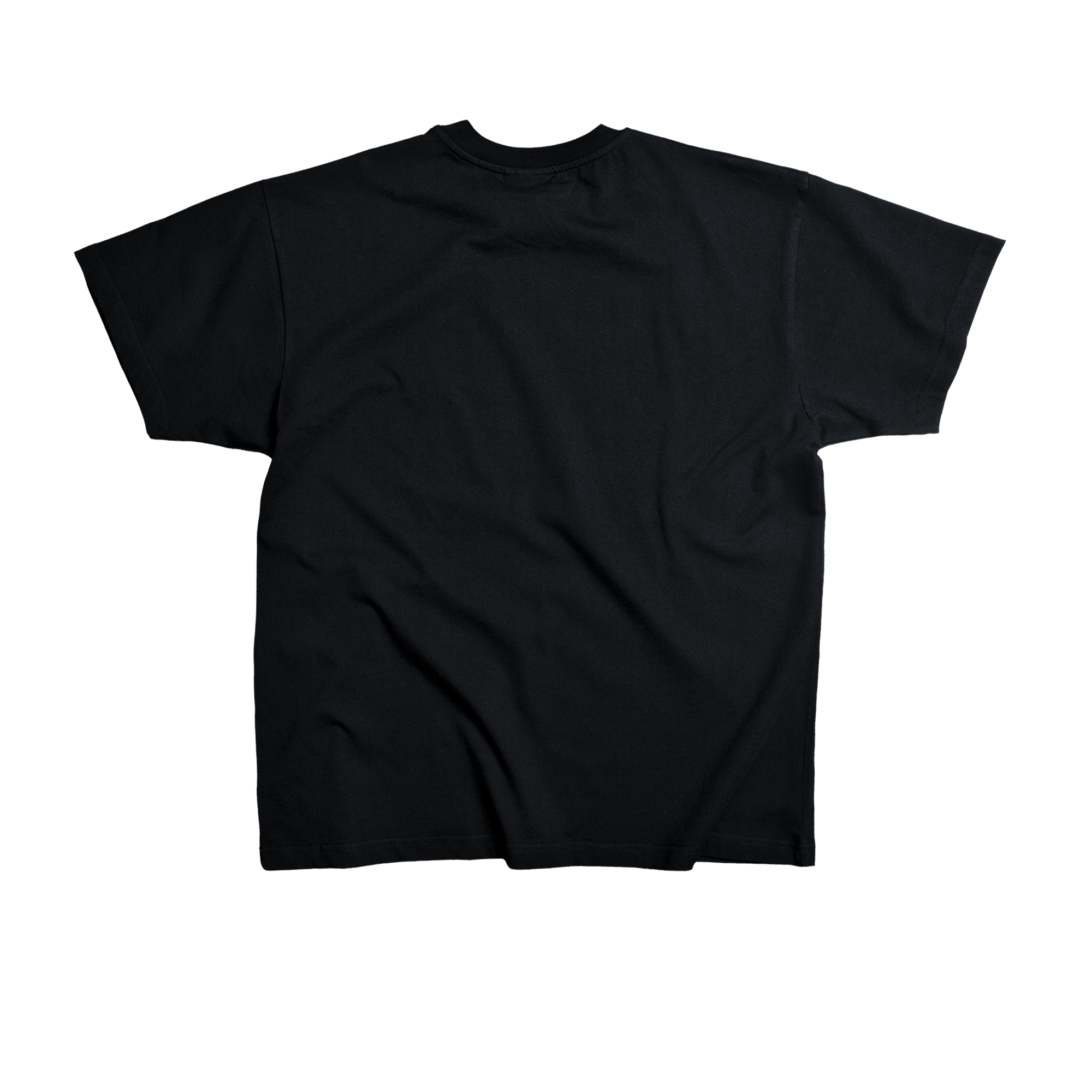 T-SHIRT SUBLIME LIVE